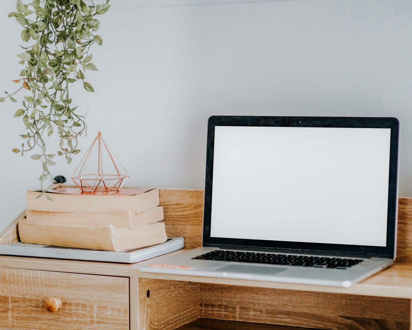 side hustles for introverts
