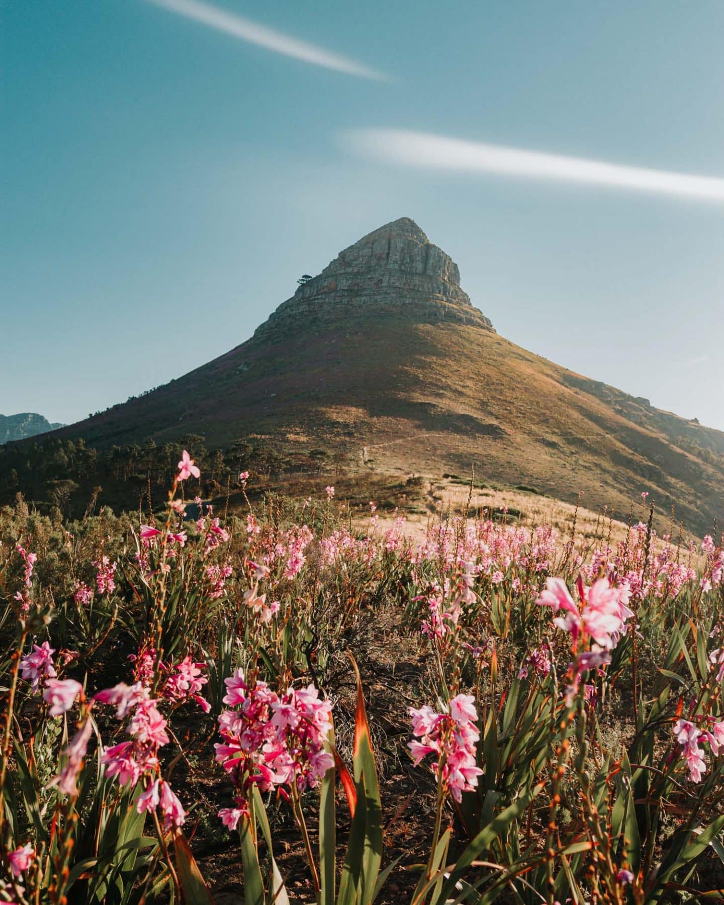 lions head in cape town