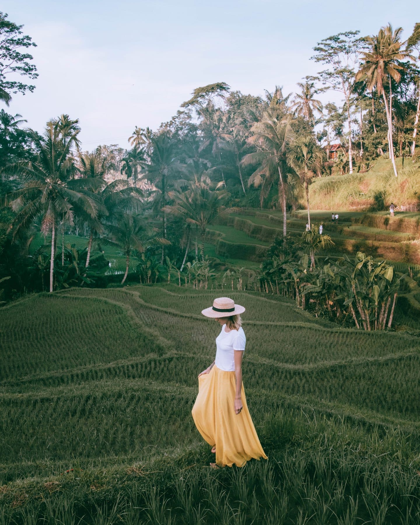 ubud rice terraces