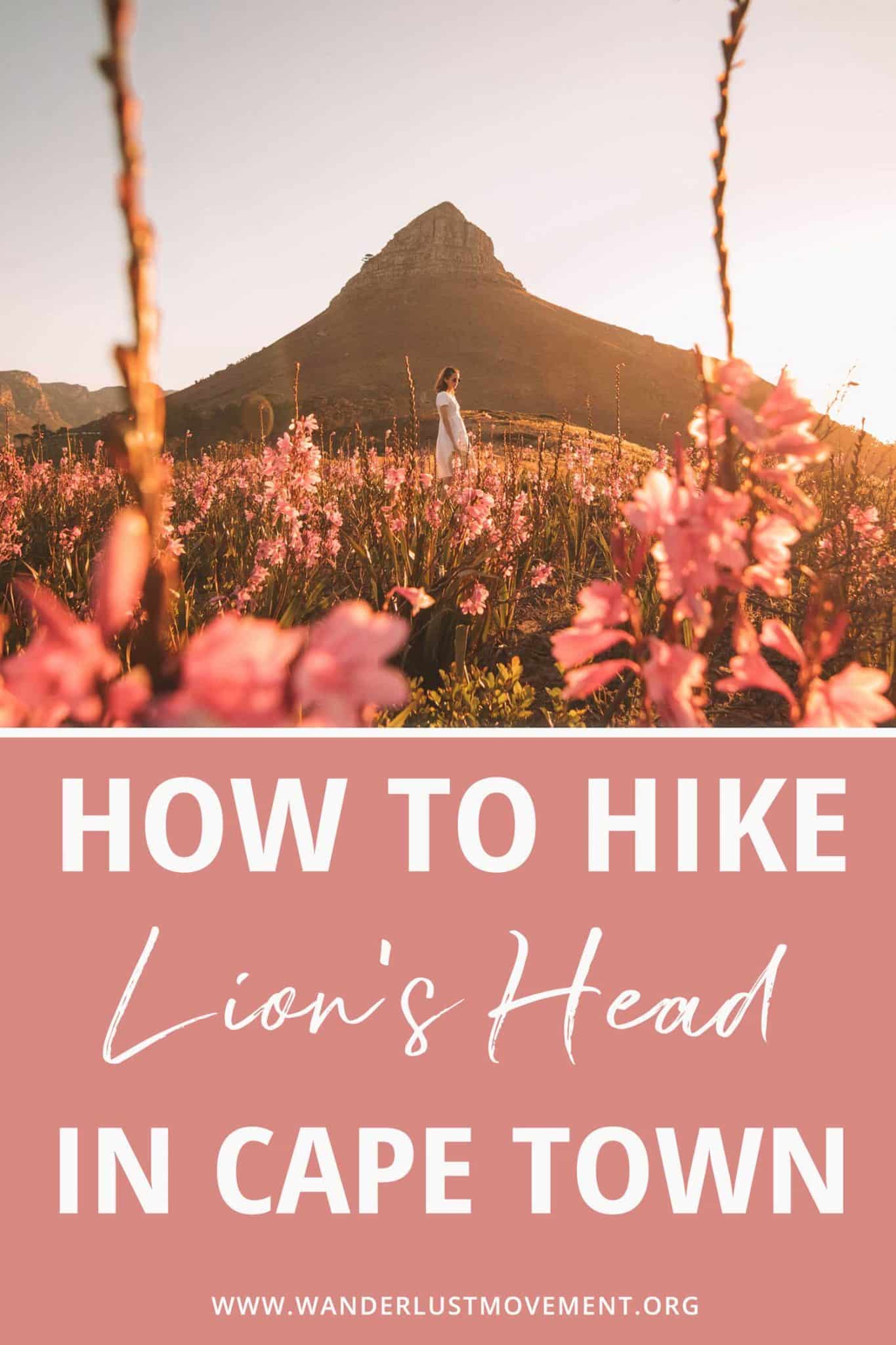 Lion\'s Head Hike in Cape Town: Full Hiking Guide