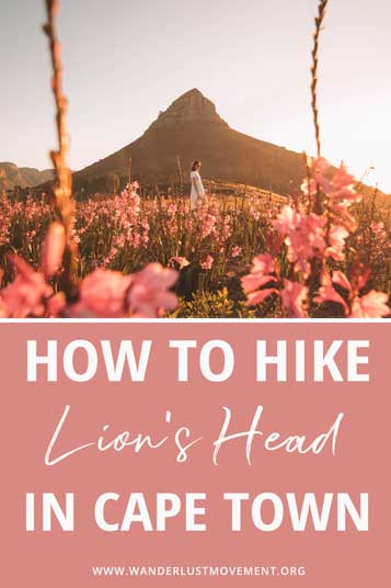 The Lion's Head hike in Cape Town is a rite of passage. If it's your first-time in CPT, here's everything you need to know about the trail!