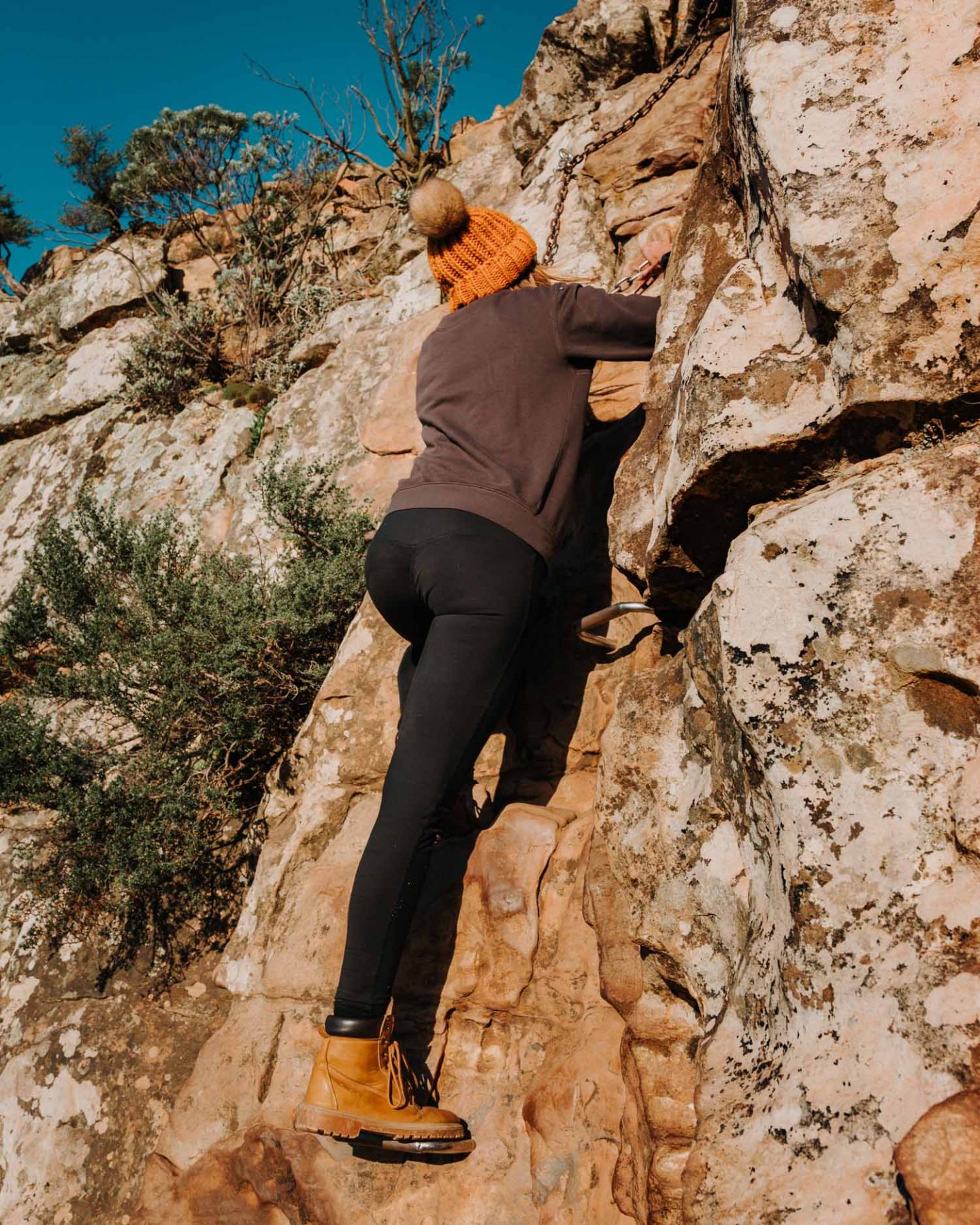 girl climbing the chain ladders on lion's head hike