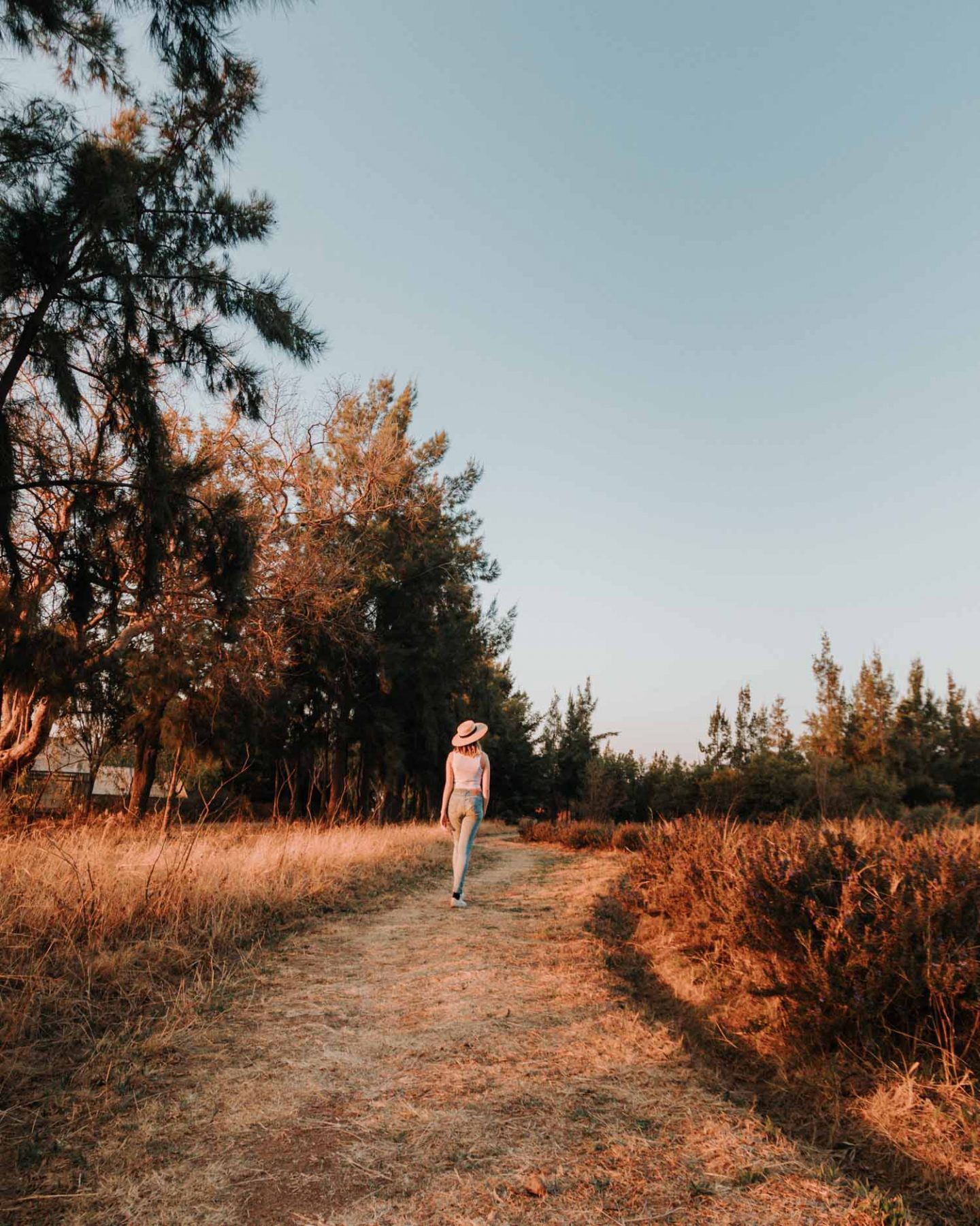 girl in rosemary fields