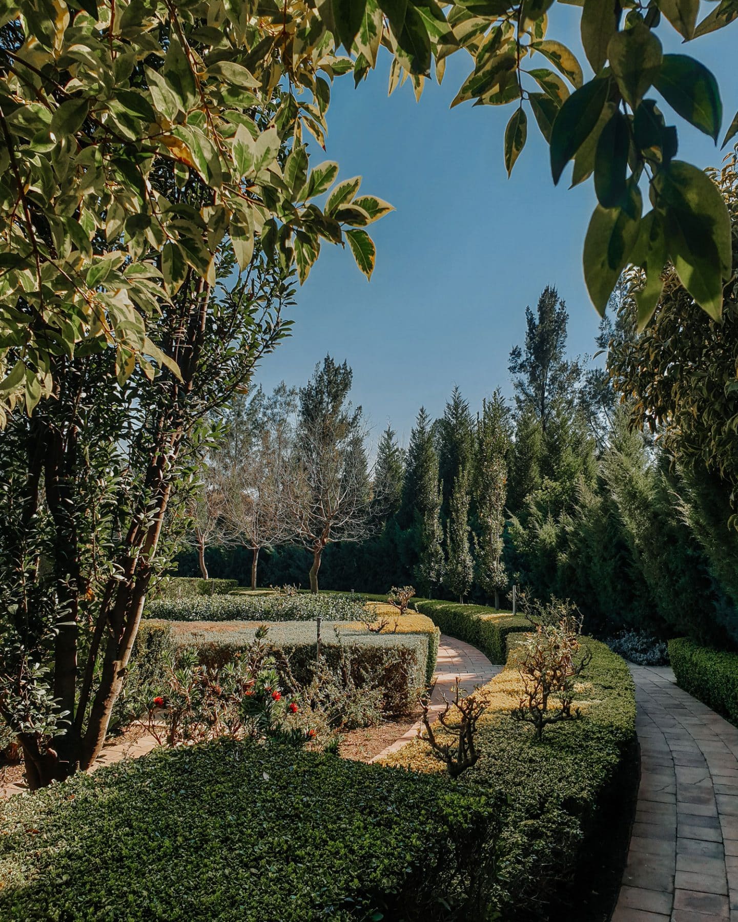 maze at rosemary hill