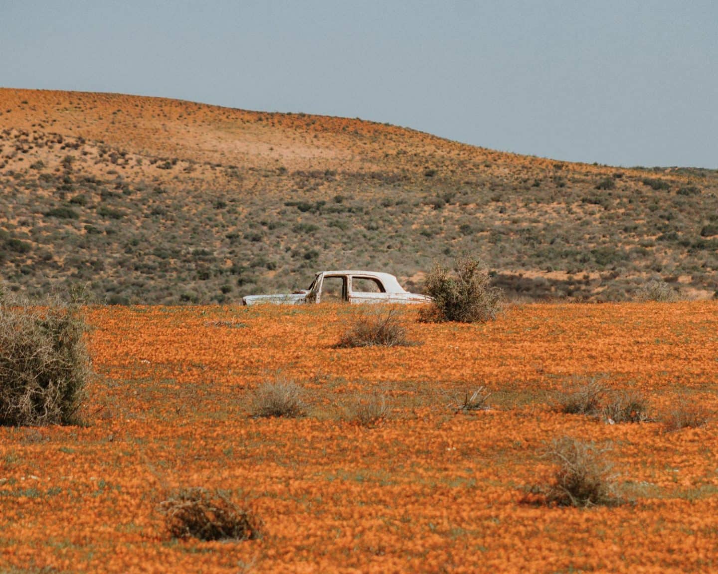 namaqua national park