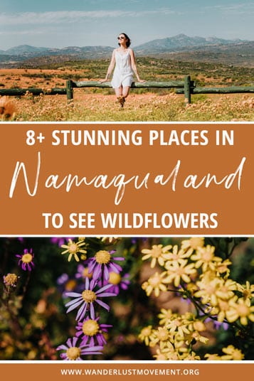 Got flowers? Namaqualand has plenty! Here's a complete guide to all the best places to see the Namaqualand flowers in South Africa.