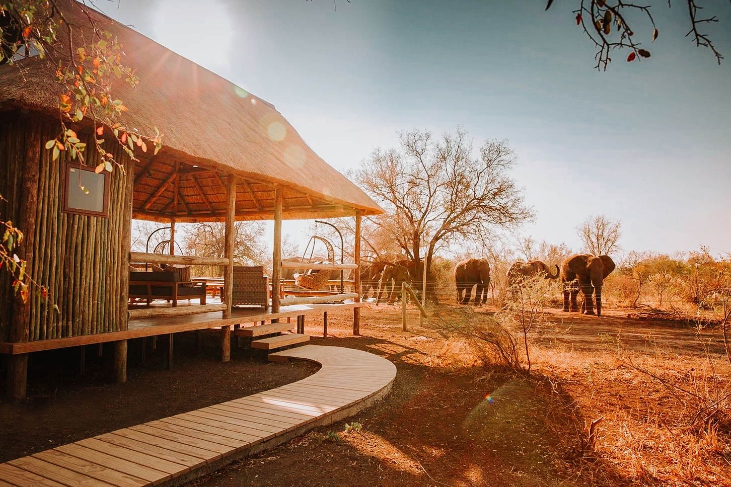 nkala safari lodge-15