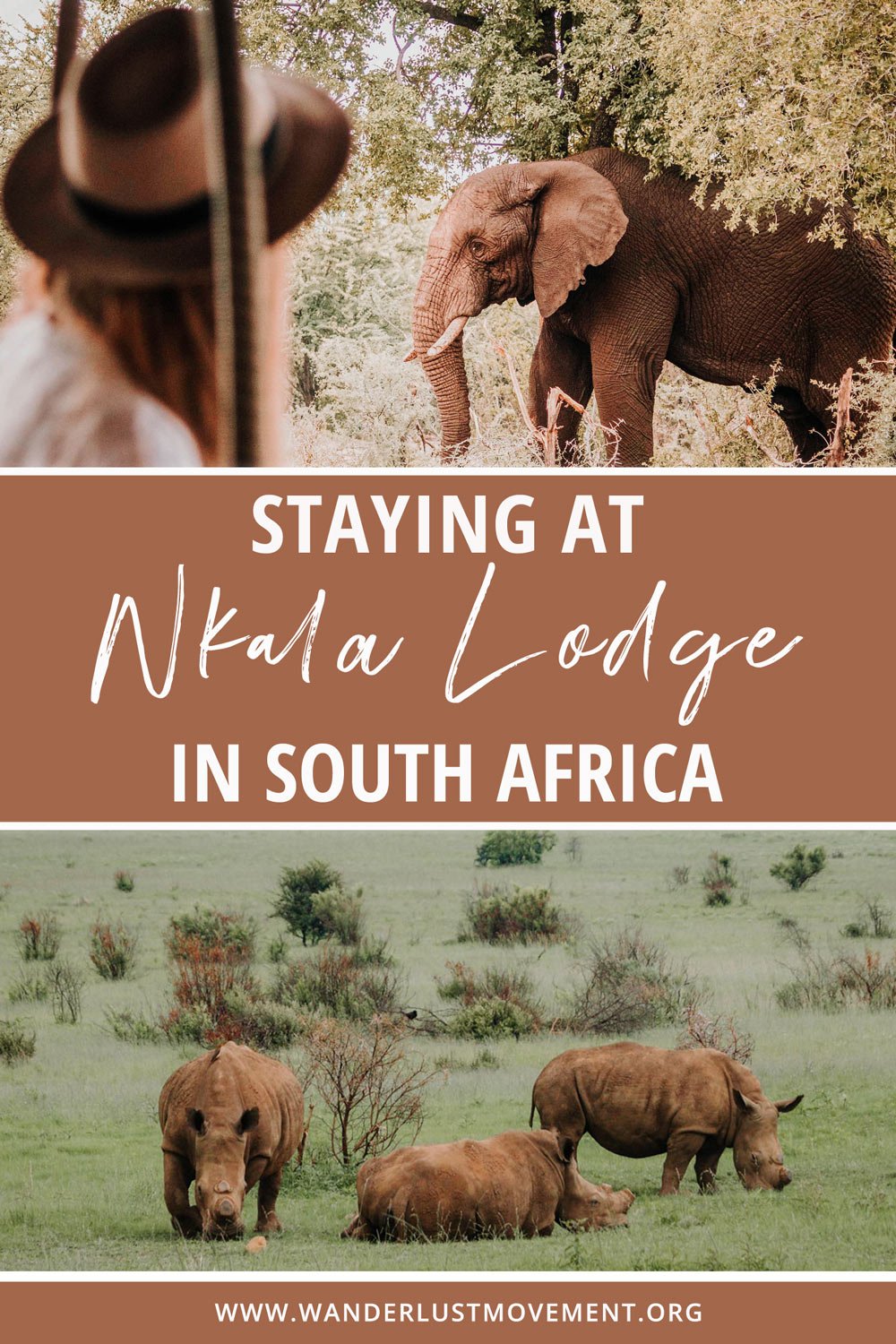 Nkala Lodge: An Exclusive Luxury Safari Getaway in Pilanesberg