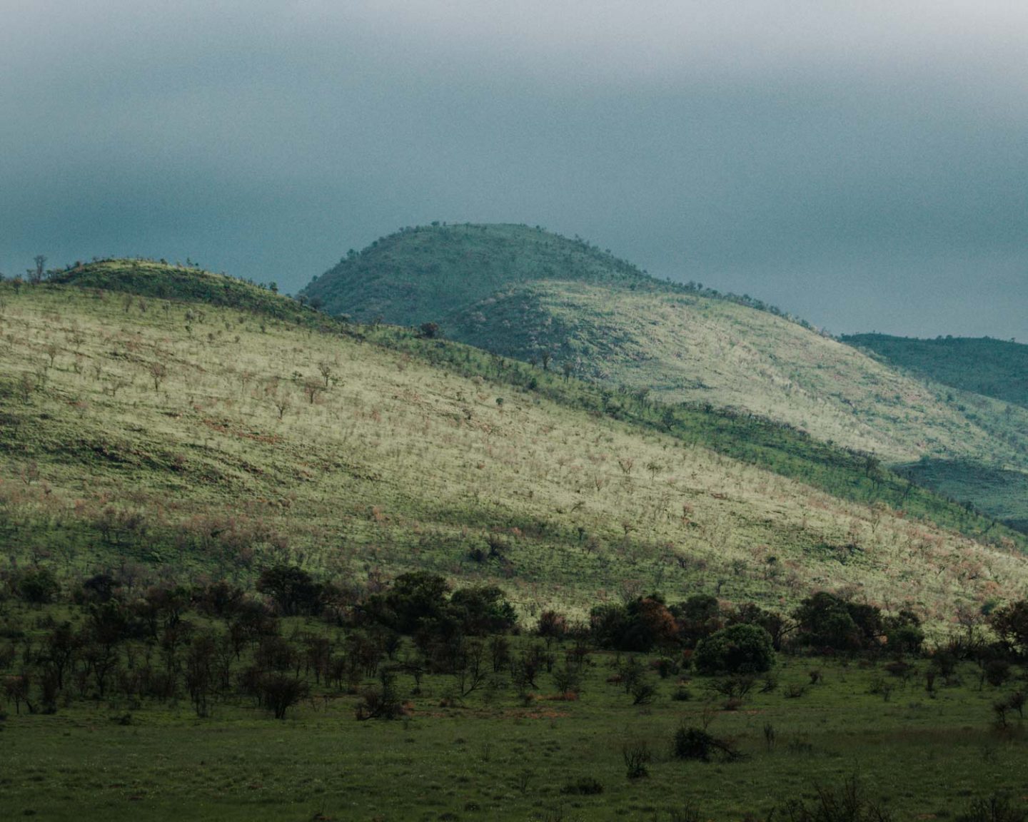 black rhino game reserve