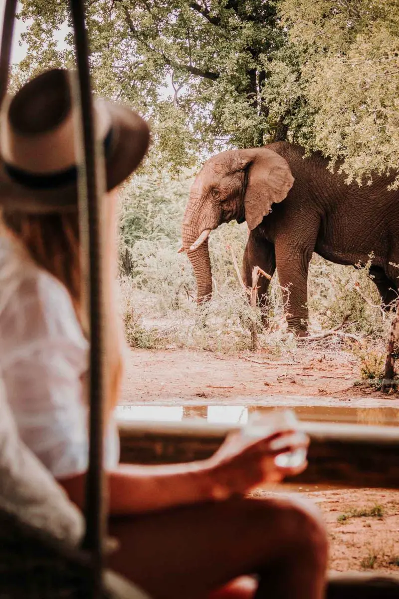 girl and elephant