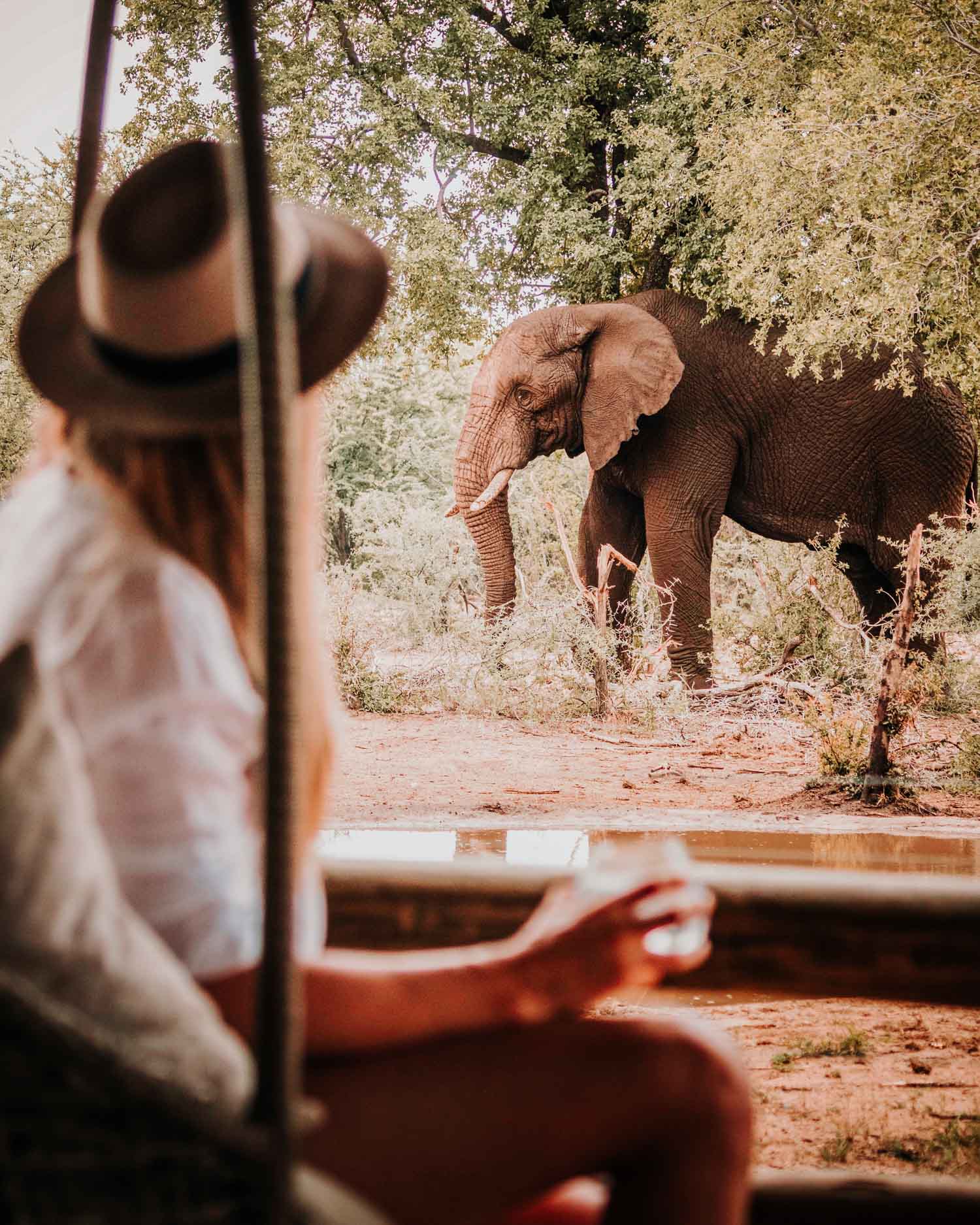 girl and elephant