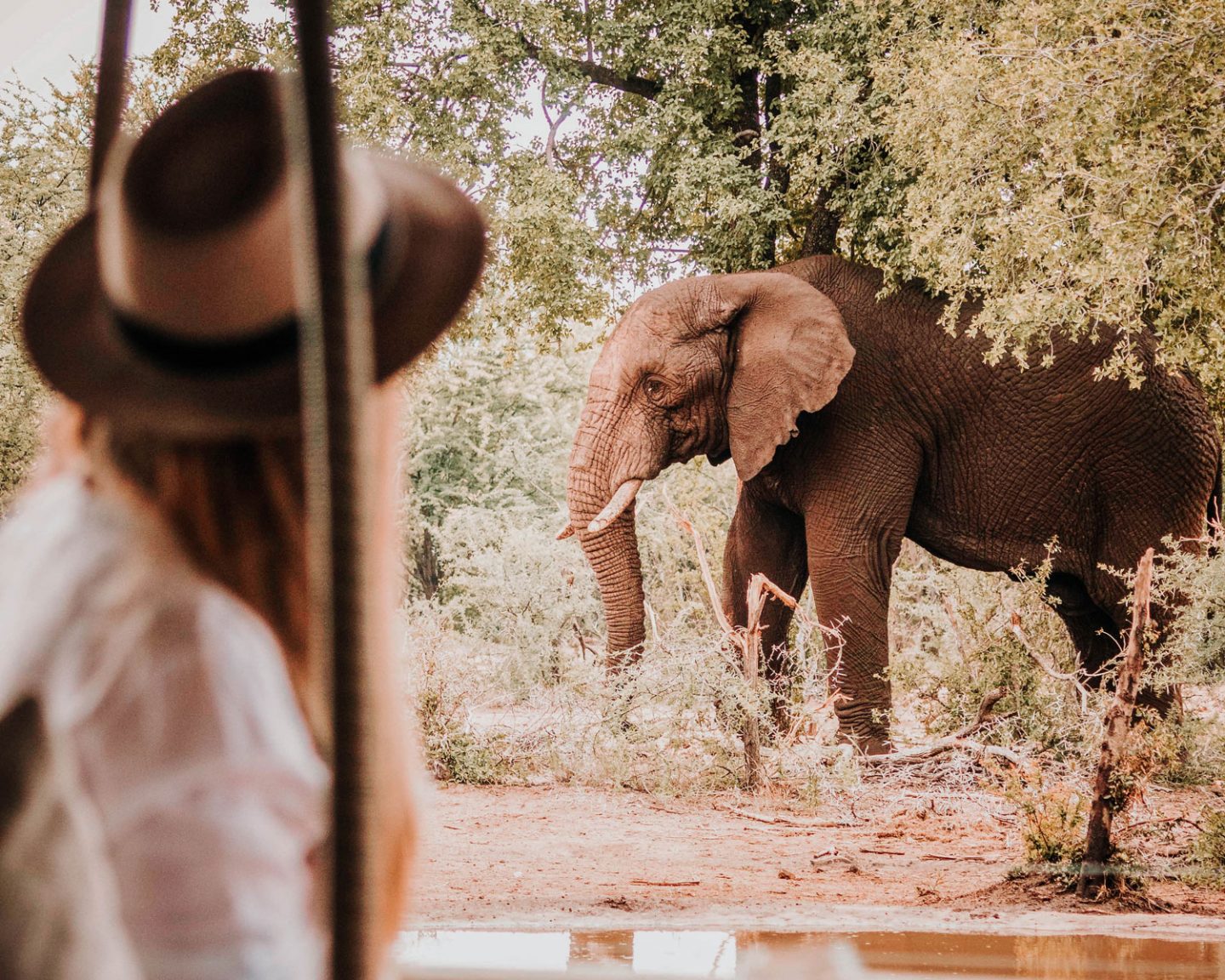 girl and elephant at watering hole