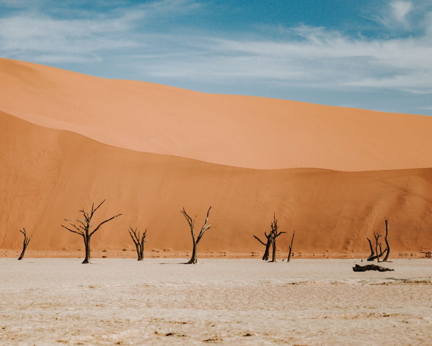 dead vlei in Namibia