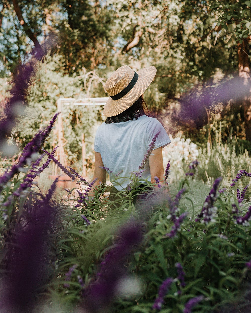 stellenbosch botanical gardens