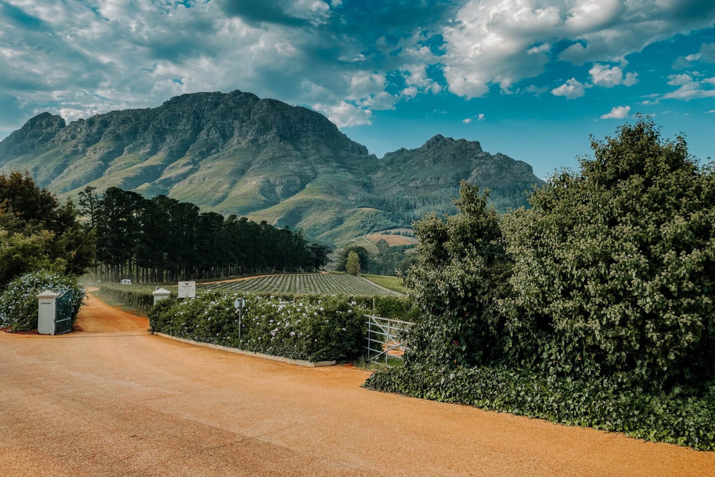 wine farm in stellenbosch