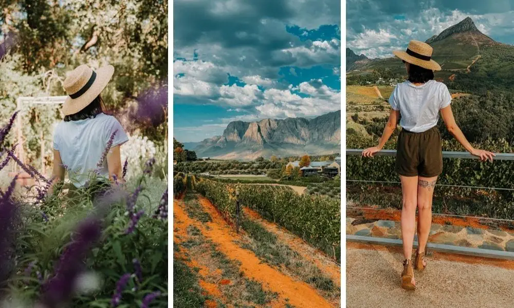 things to do in stellenbosch