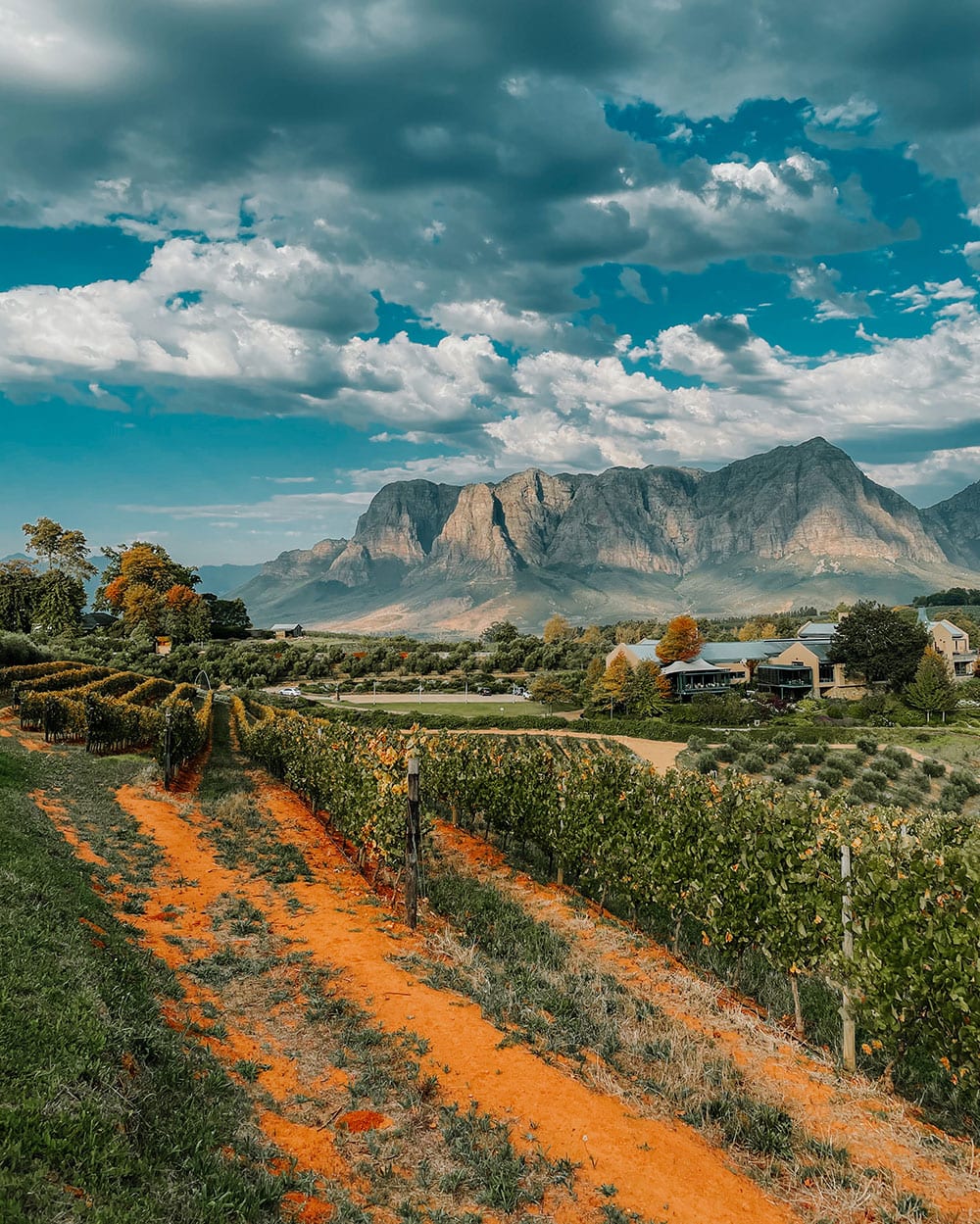 tokara wine estate in stellenbosch