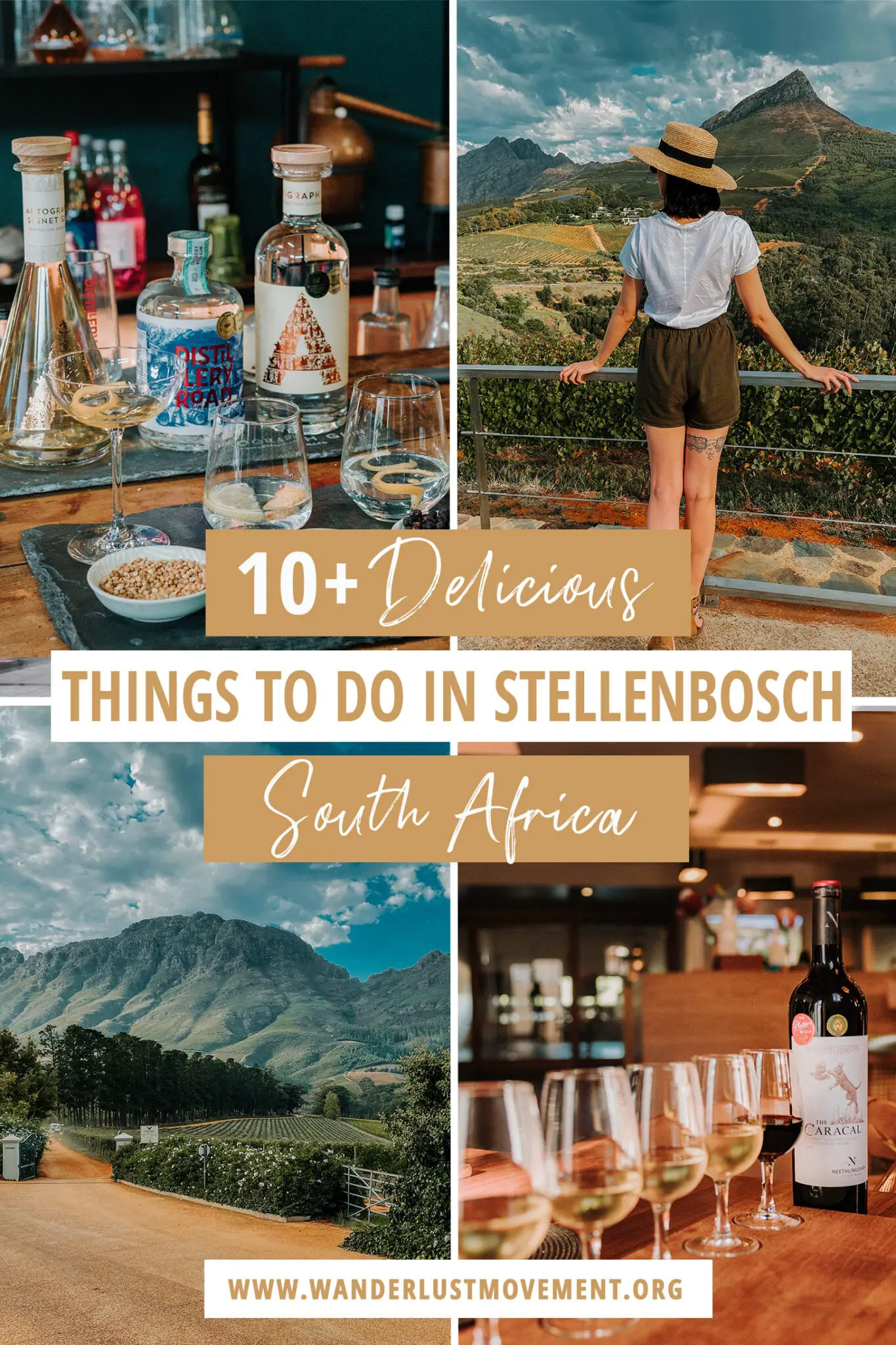10 Delicious Things to Do in Stellenbosch for Hungry Foodies