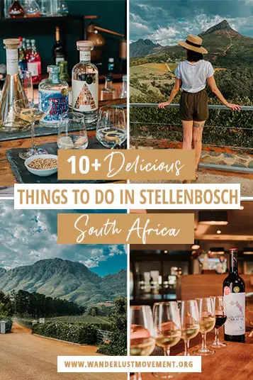 Hungry? Visiting Stellenbosch? Here are the best things to do in Stellenbosch for foodies after unforgettable cuisine experiences!