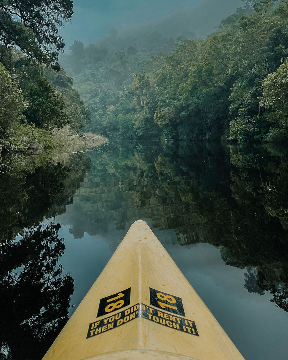 canoeing in wilderness