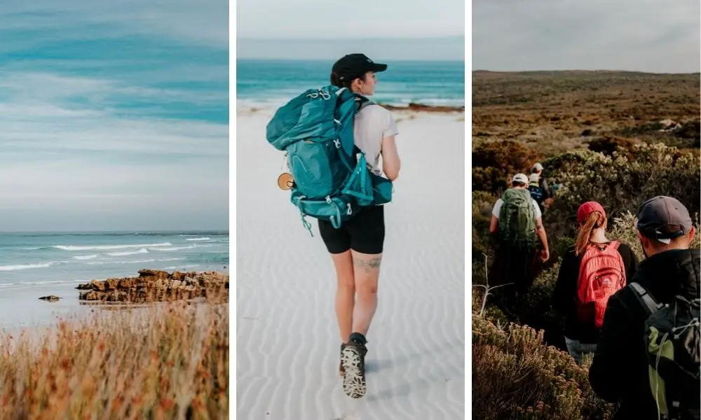 The Ultimate Cape of Good Hope Hiking Guide • Wanderlust Movement A