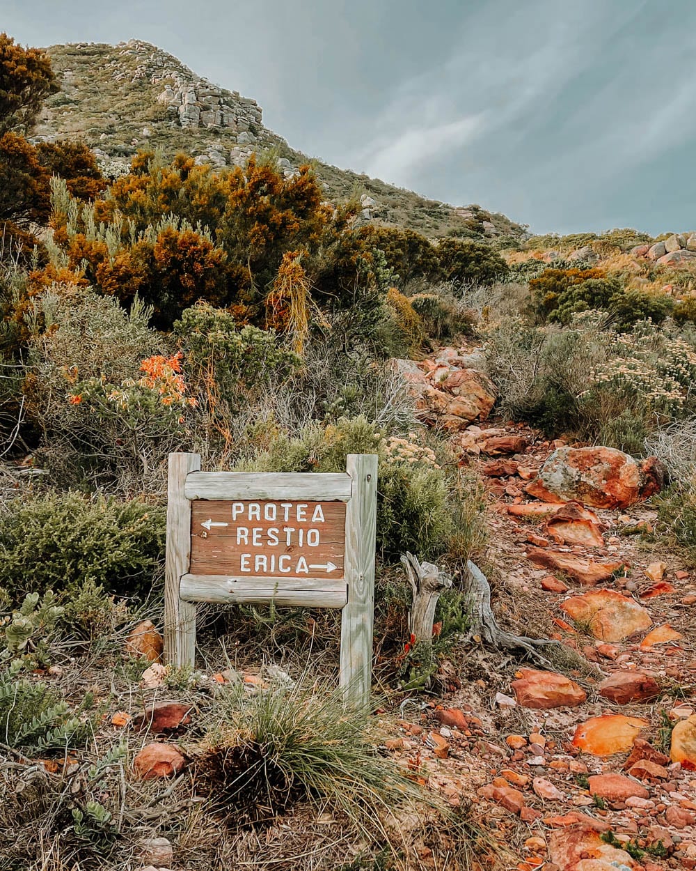 The Ultimate Cape of Good Hope Hiking Guide • Wanderlust Movement A