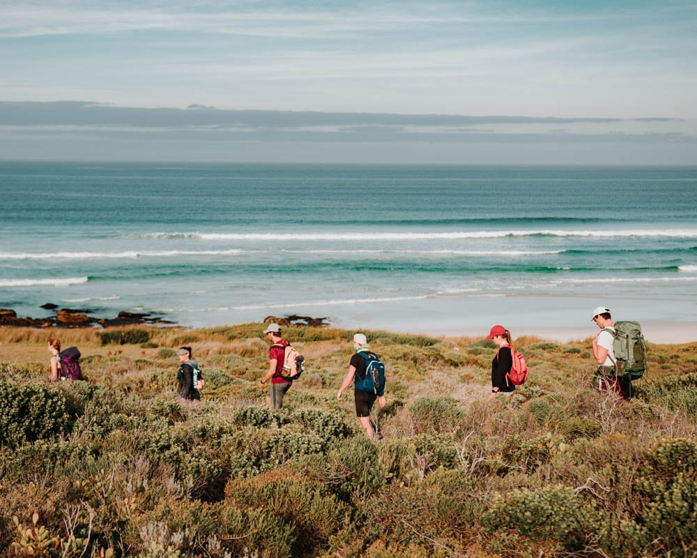 group of hikers on the cape of good hope trail