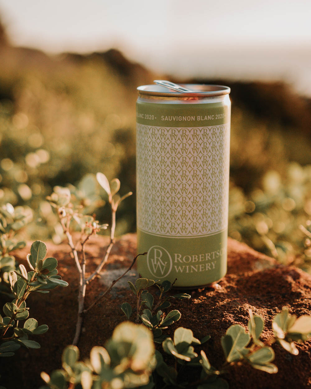 robertson wine