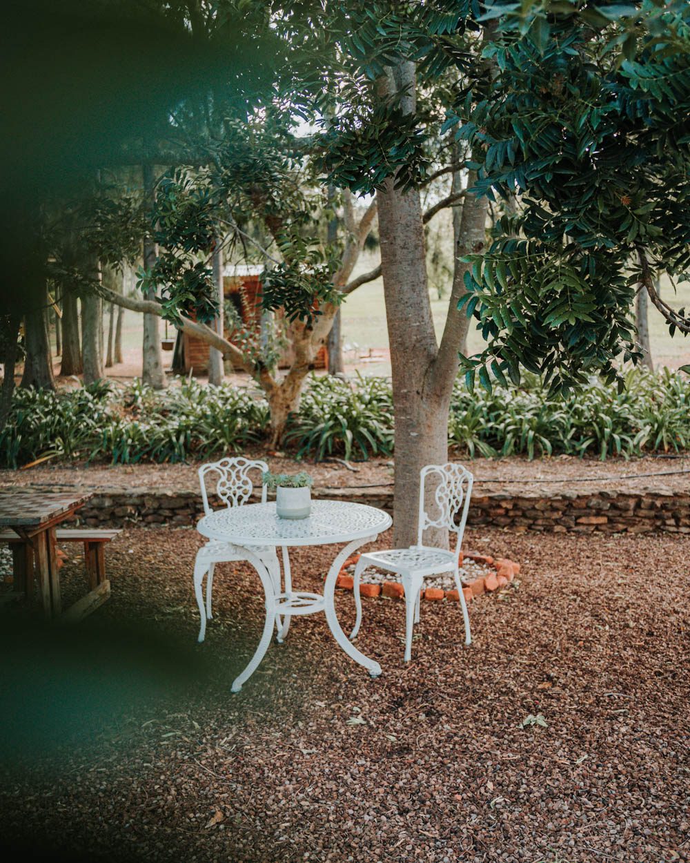 sitting area surrounded by trees
