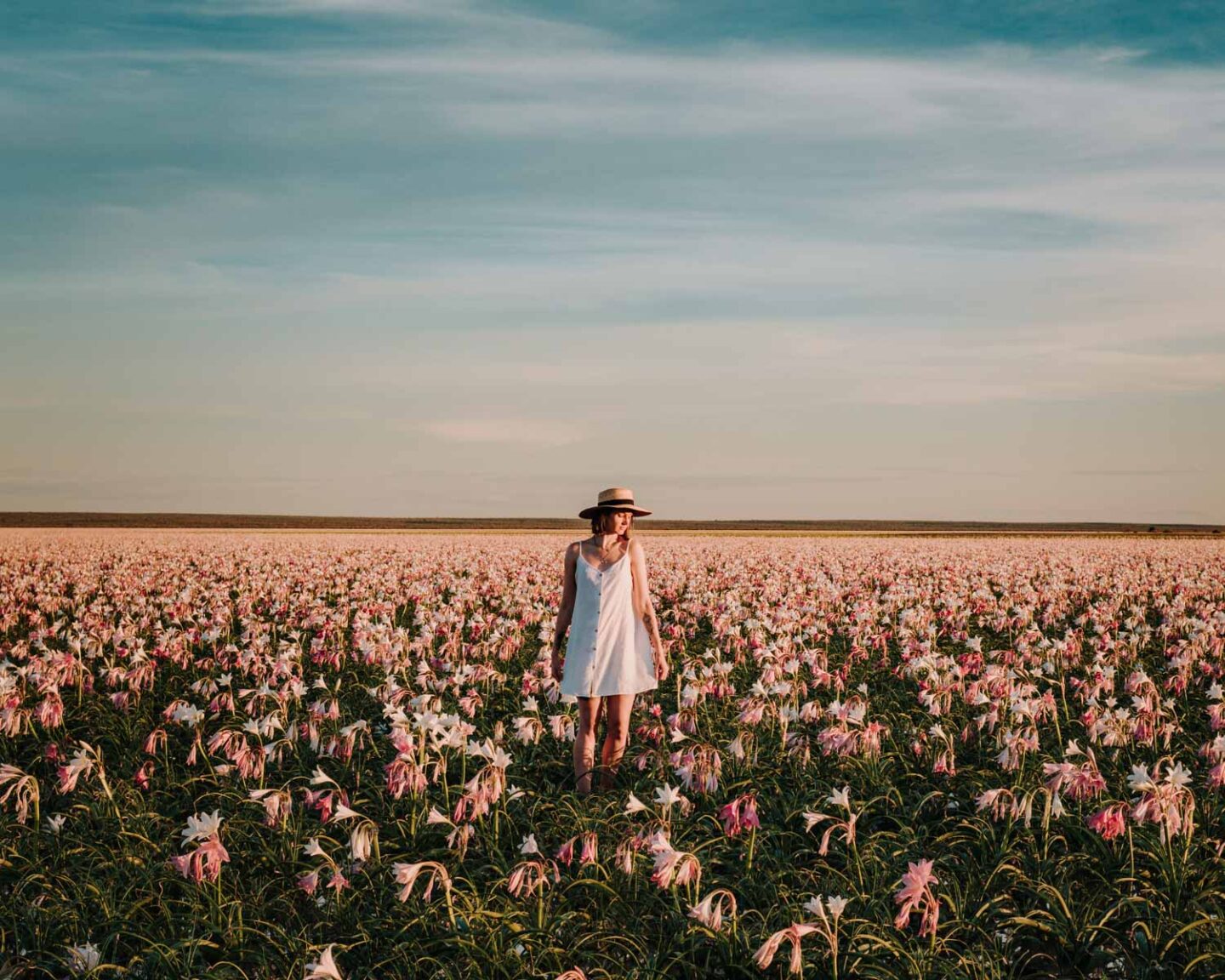 sandhoff lillies in namibia