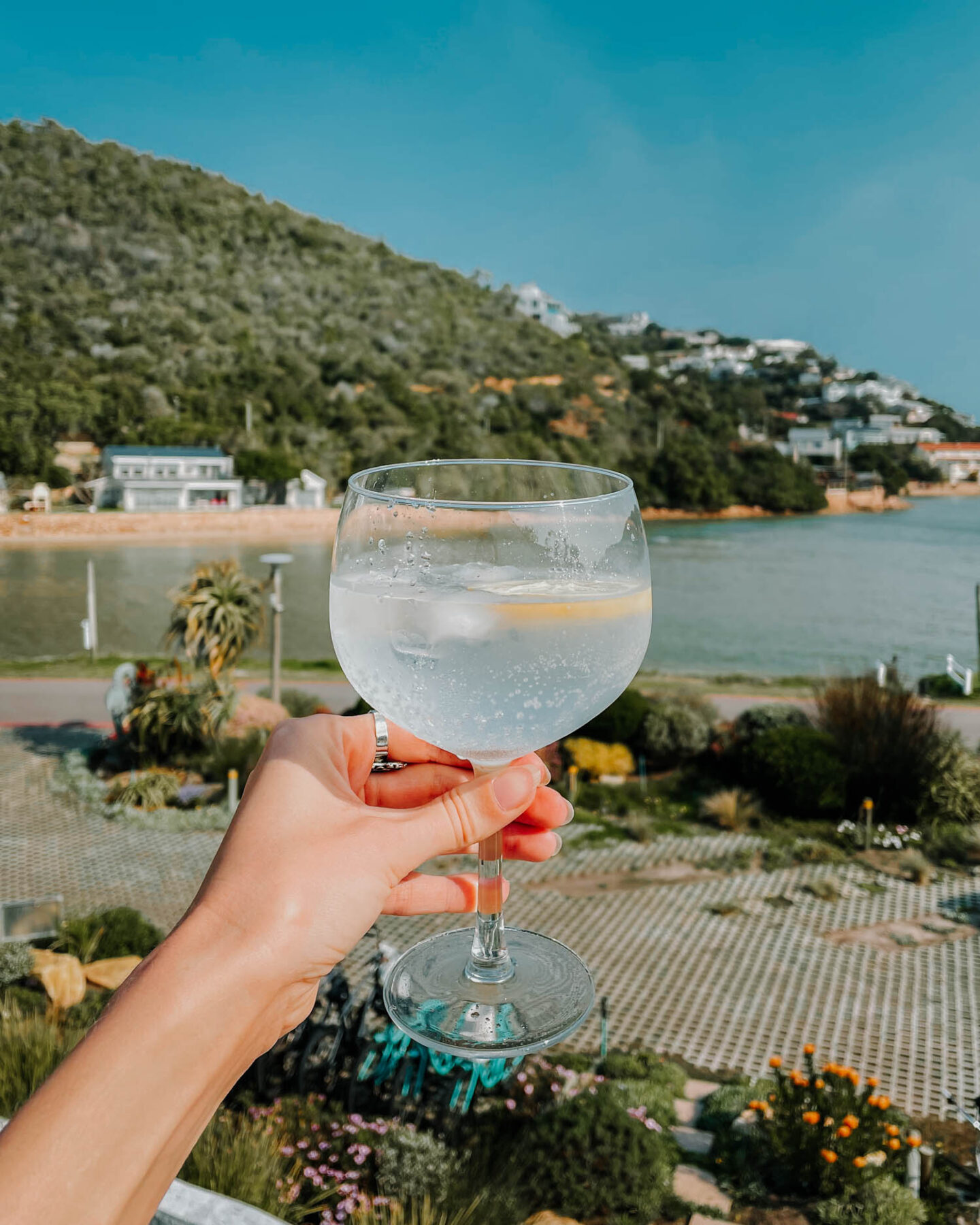 gin and tonic