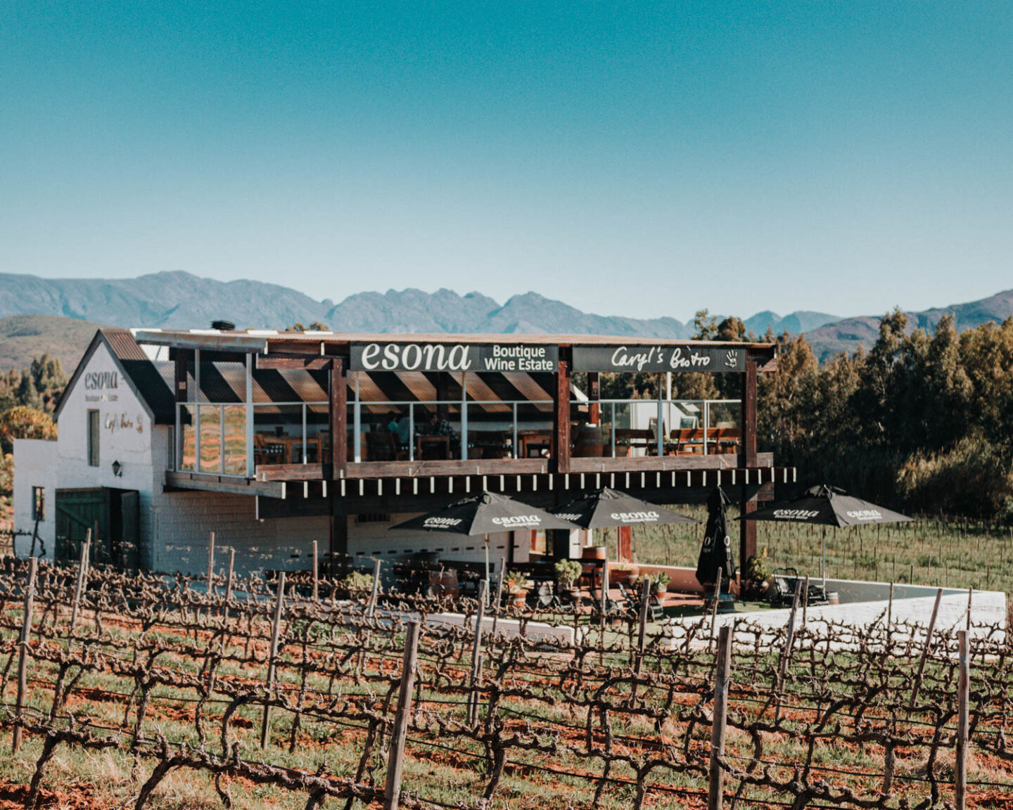 esona wines in robertson