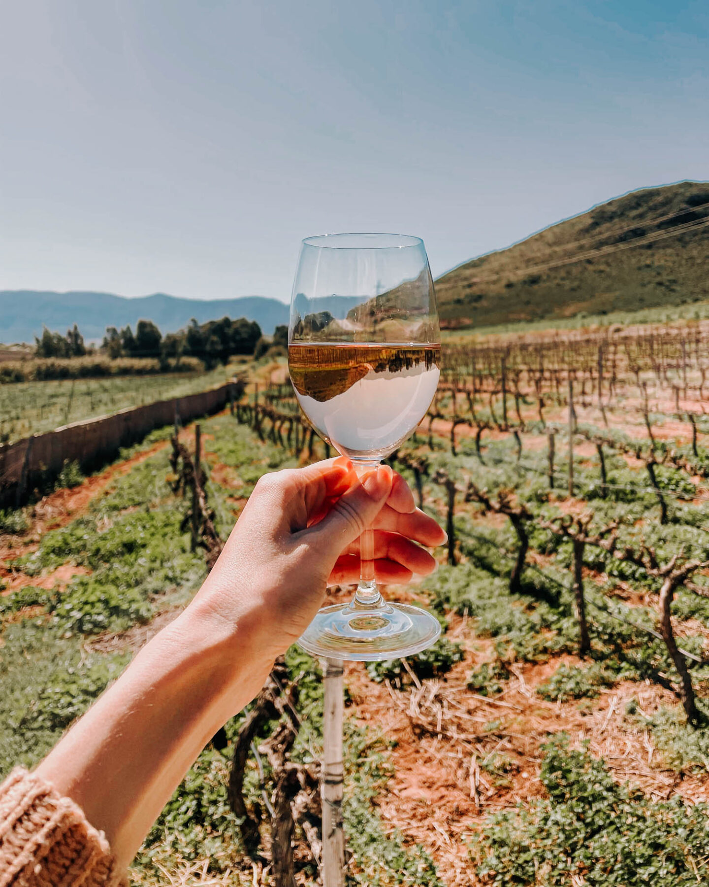 wine tasting at esona