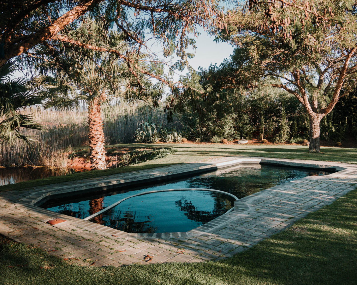 pool at mo and rose