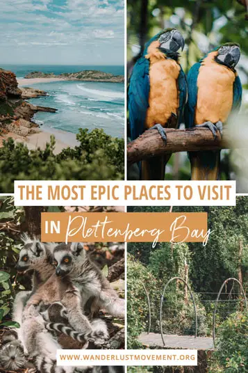 On the hunt for the best things to do in Plettenberg Bay, South Africa? Here is everything you don't want to miss when visiting this town!