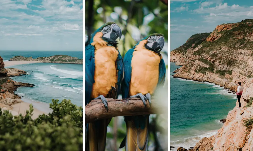 things to do in plettenberg bay