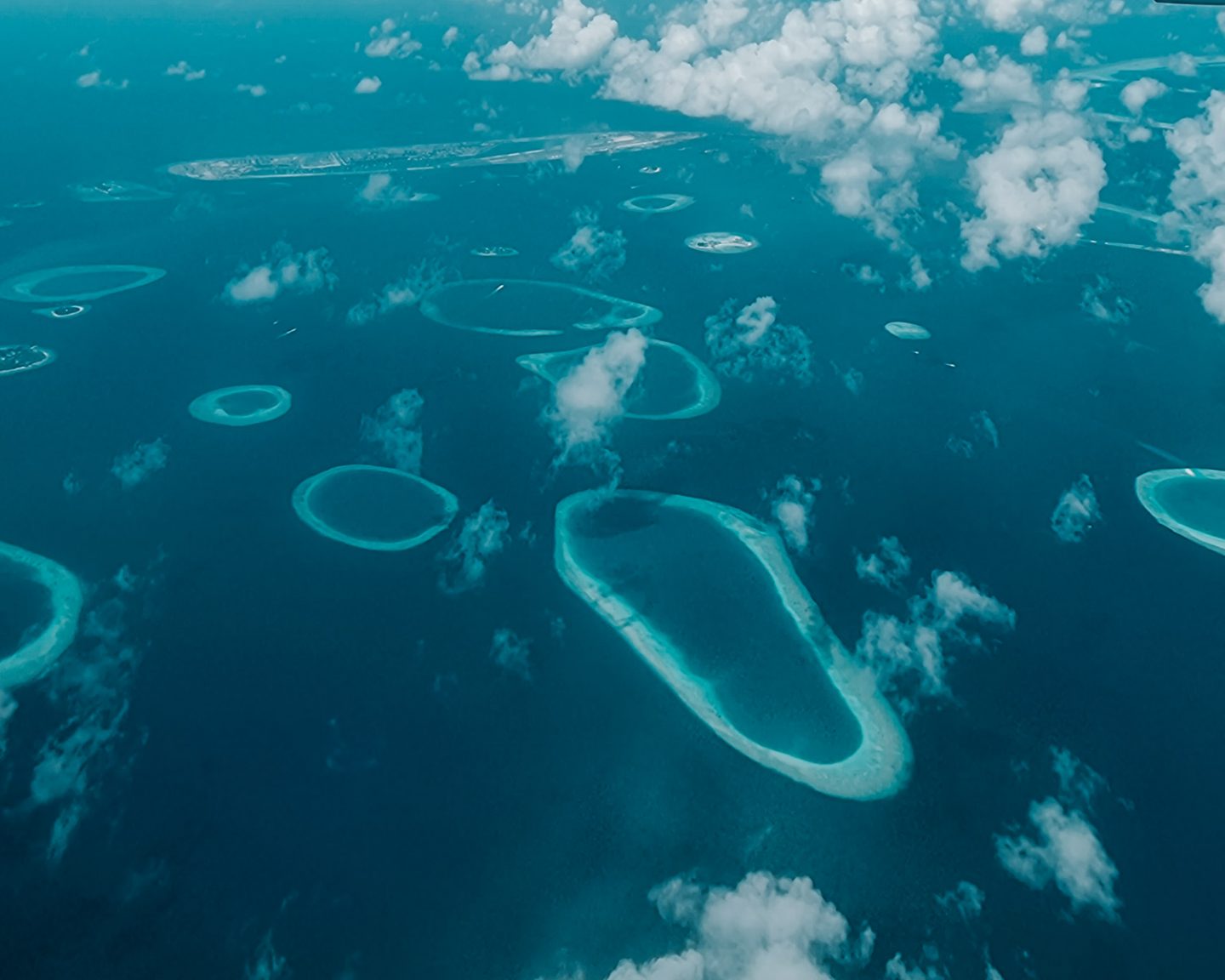 aerial view of the maldives