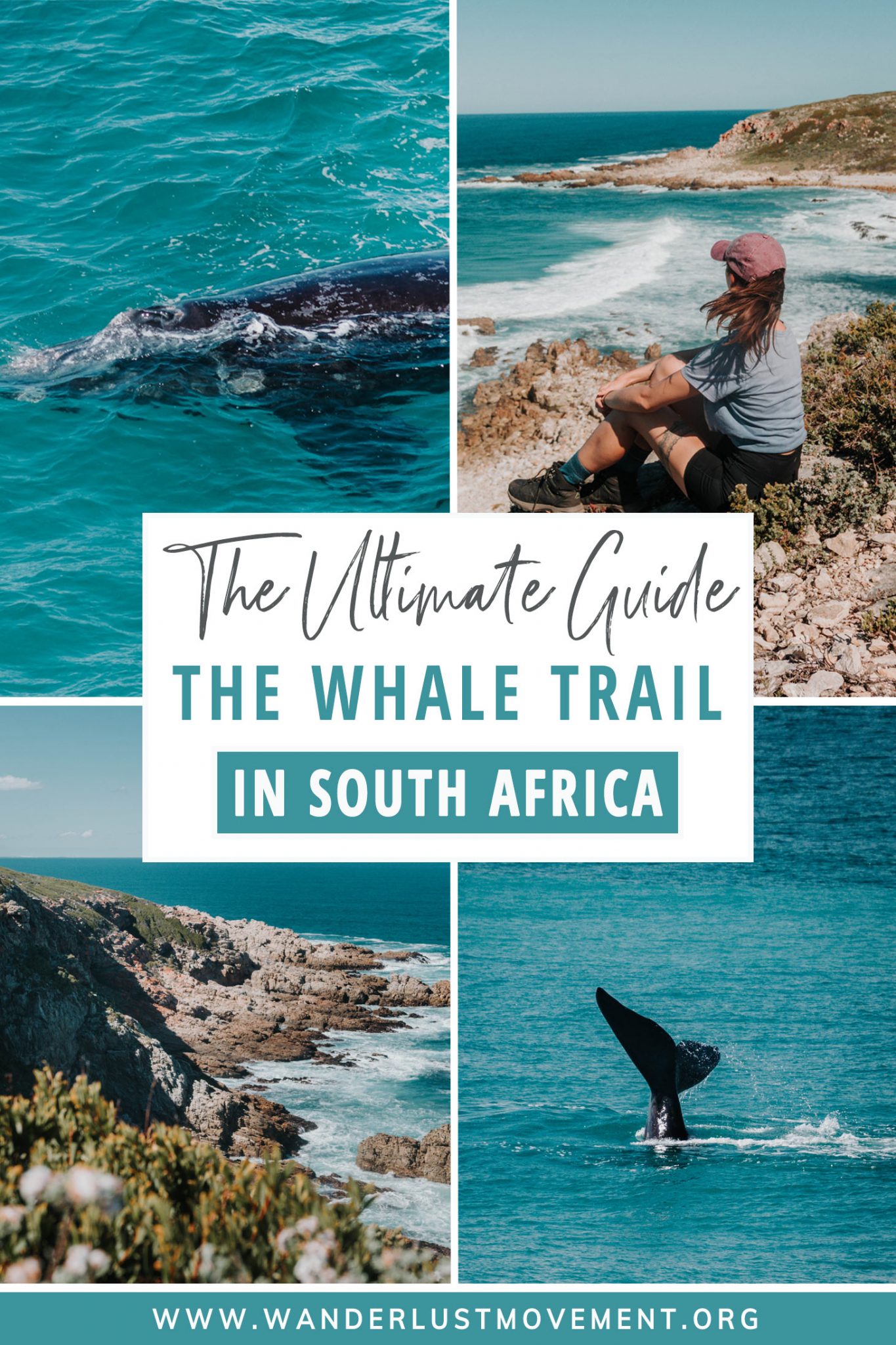 Whale Trail Hike in South Africa: Everything You Need to Know