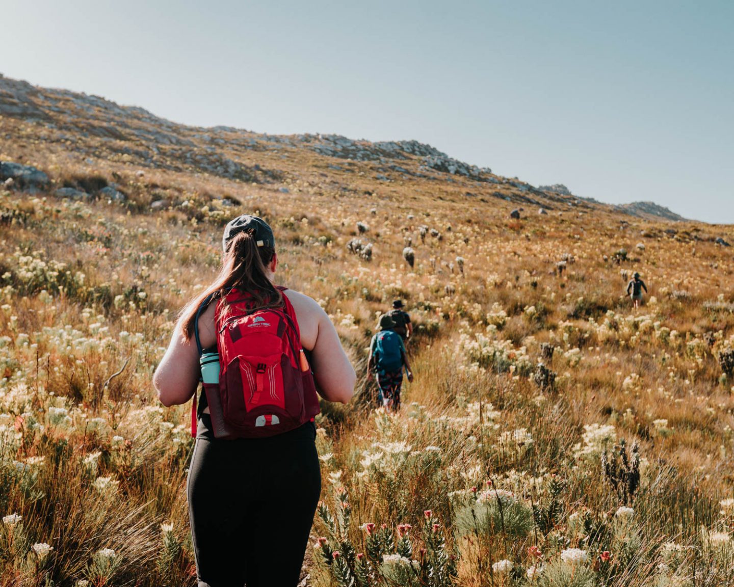 group of friends hiking the whale trail