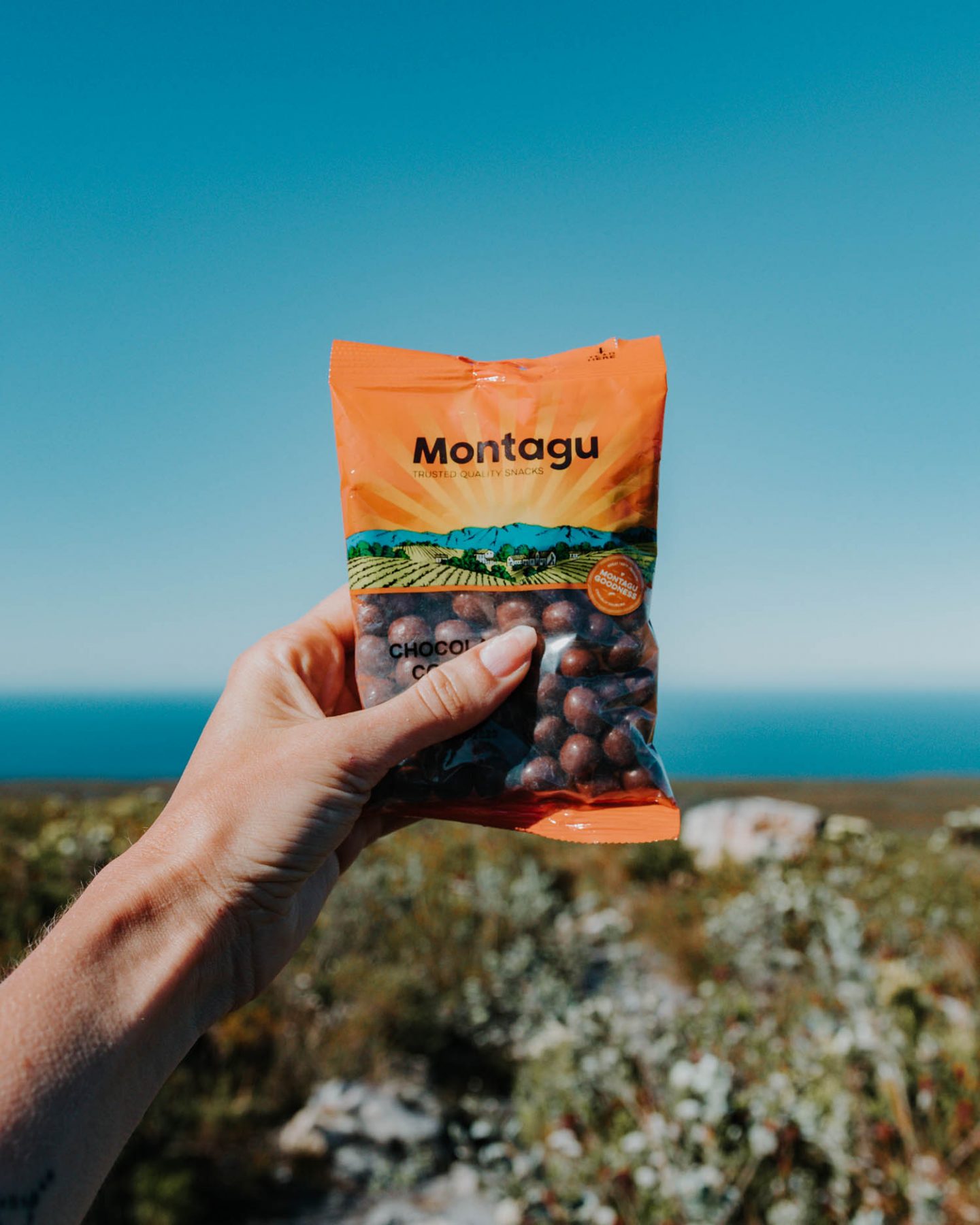 montagu snacks