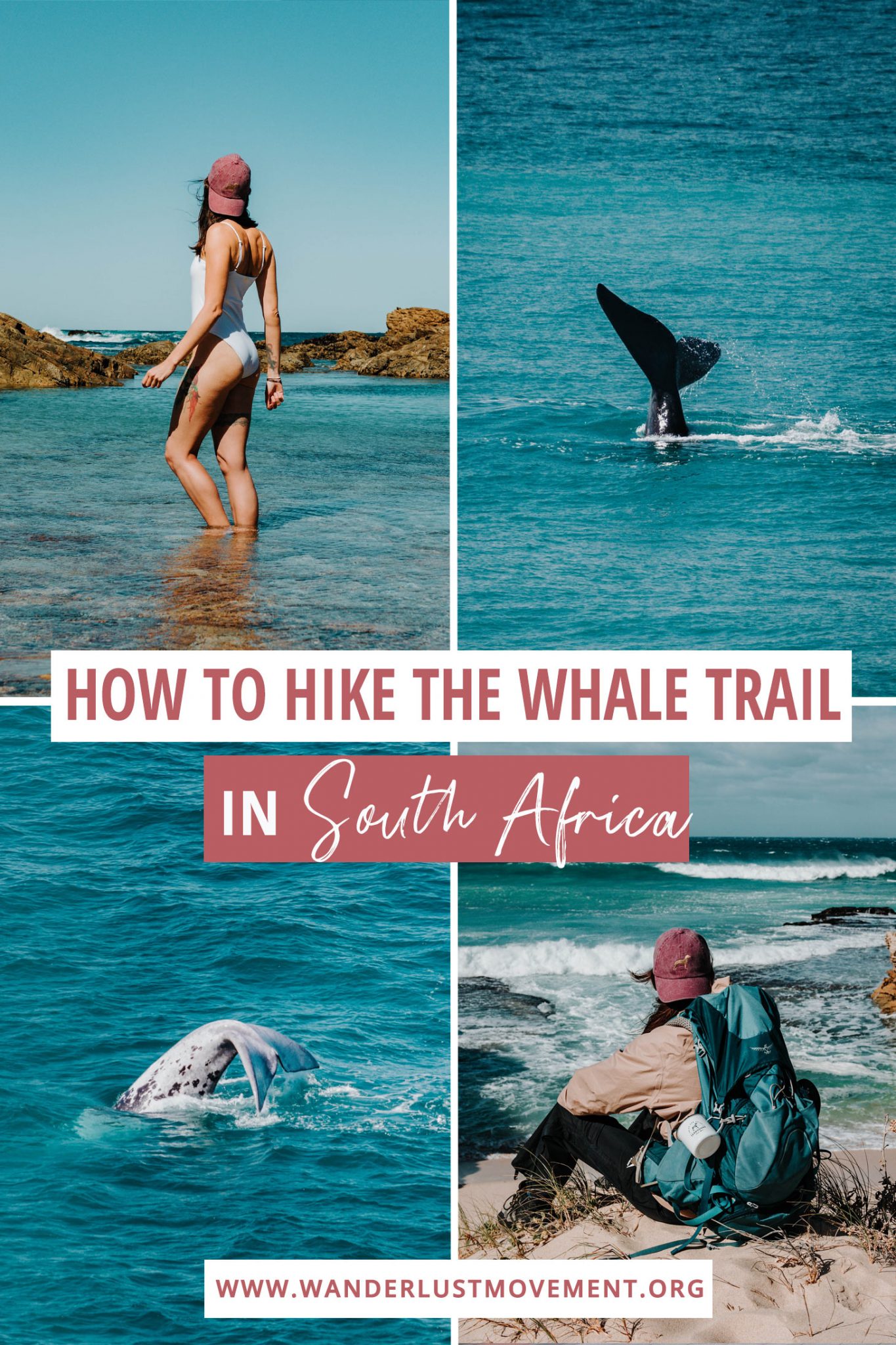 Whale Trail Hike in South Africa: Everything You Need to Know