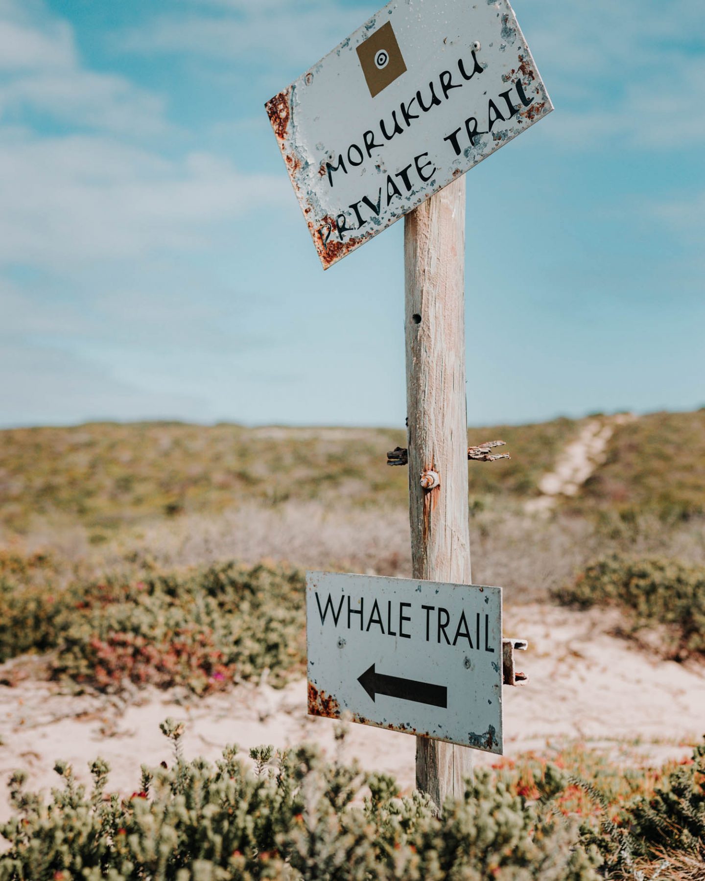 whale trail hike sign