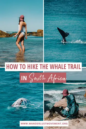 Ready to conquer the 55km Whale Trail hike? Here's everything you need to know about booking permits and what to expect on the trail.