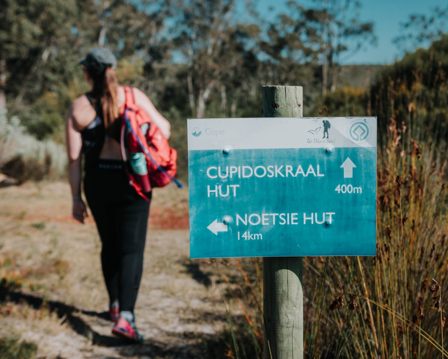 whale trail signs