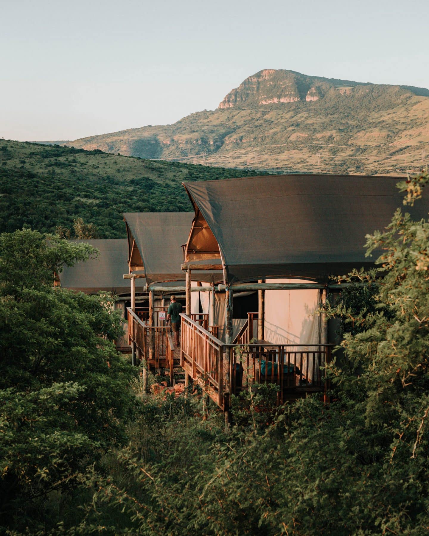 The Best Game Reserves in KZN for an Safari Experience