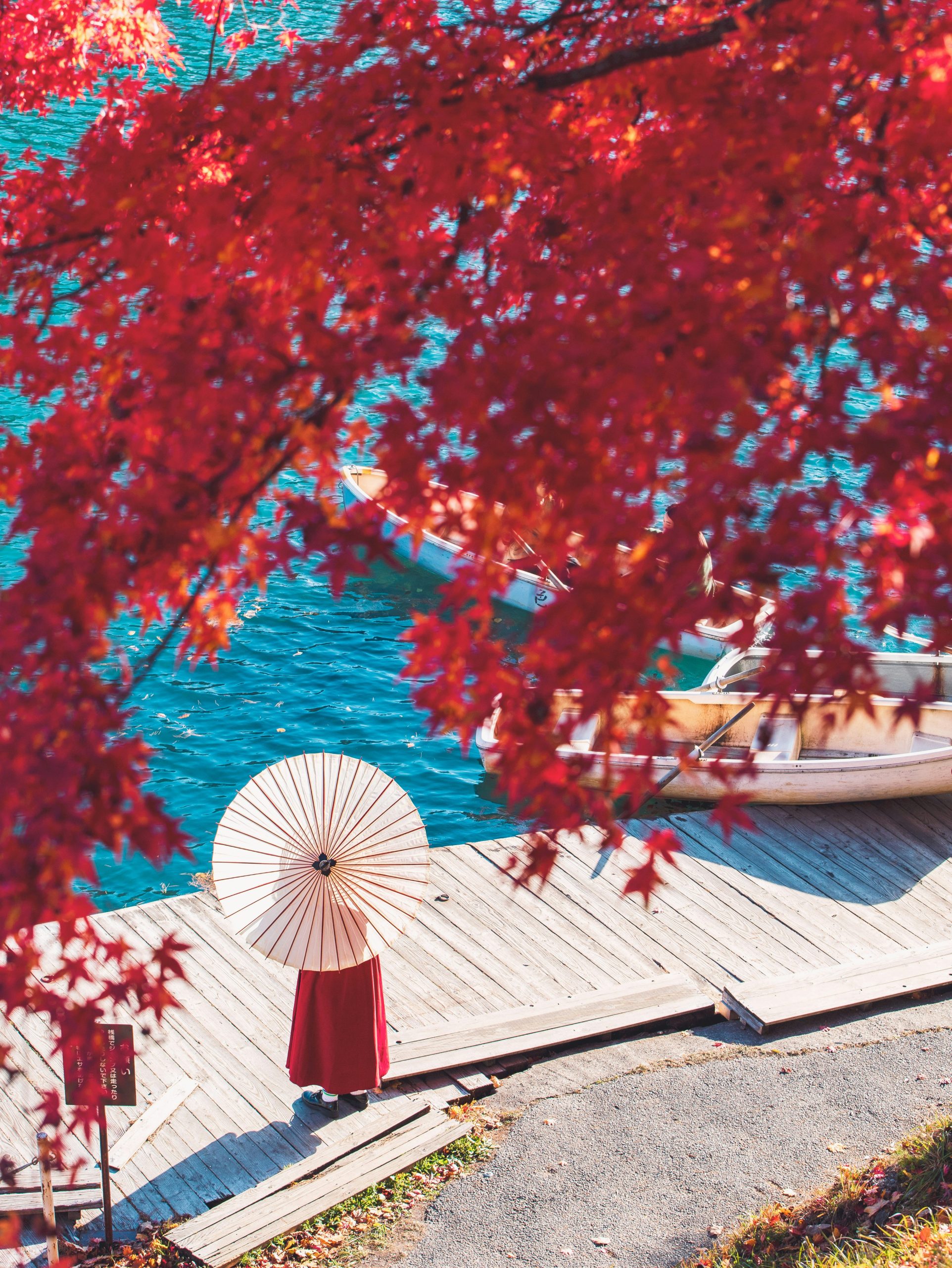 japan in autumn