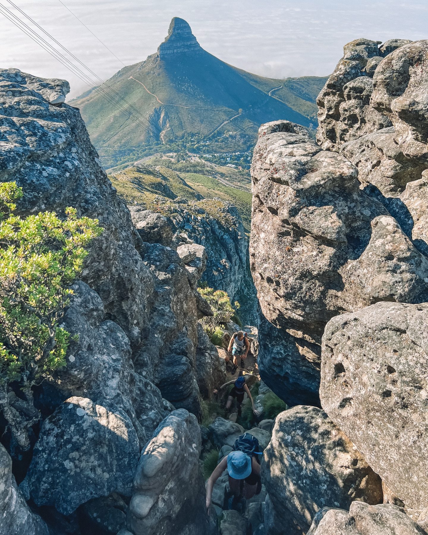 india venster scrambling