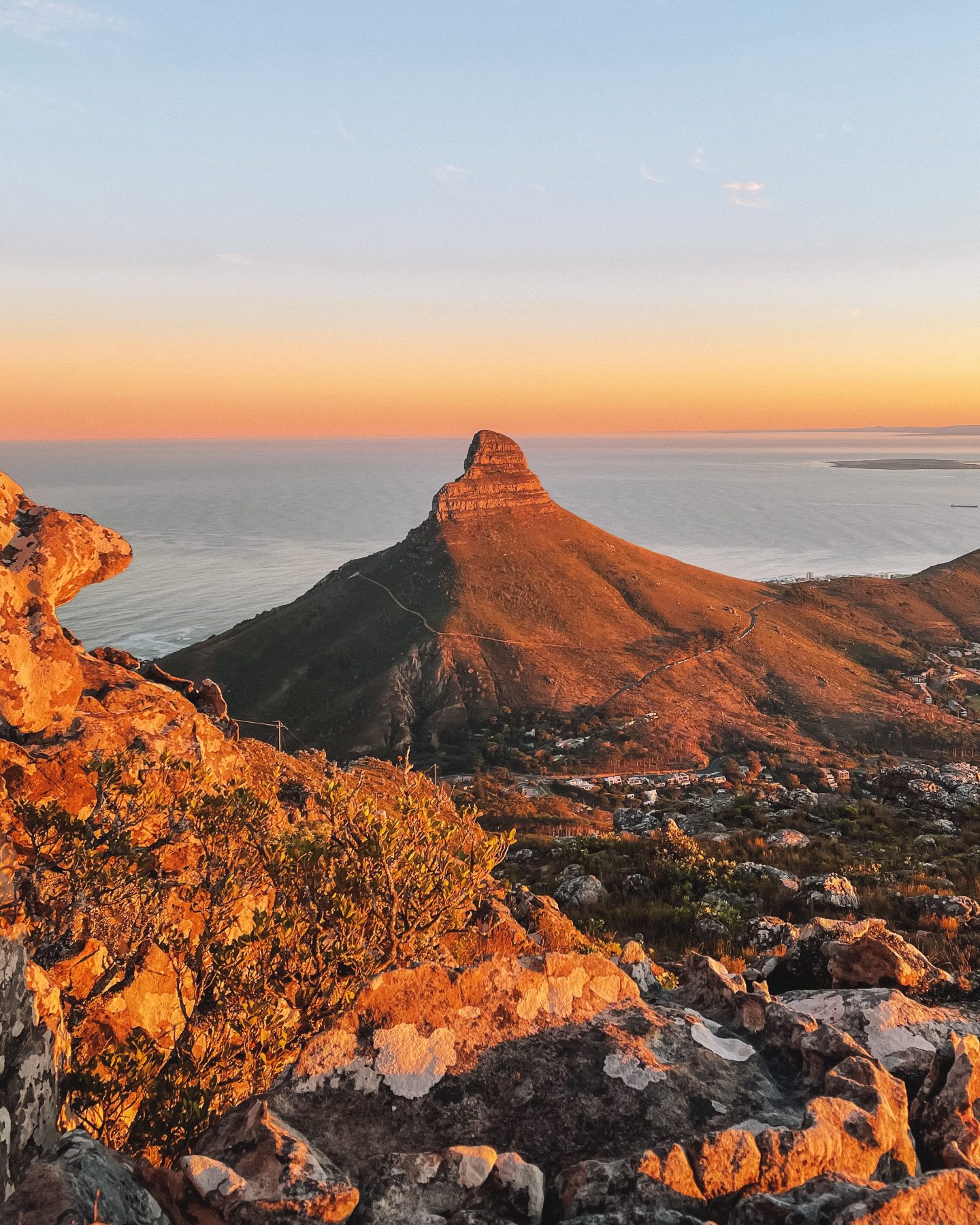 views from india venster lions head