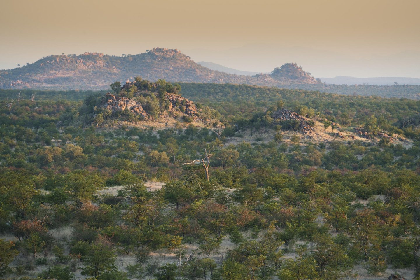 Northern Tuli Reserve safari destinations near South Africa