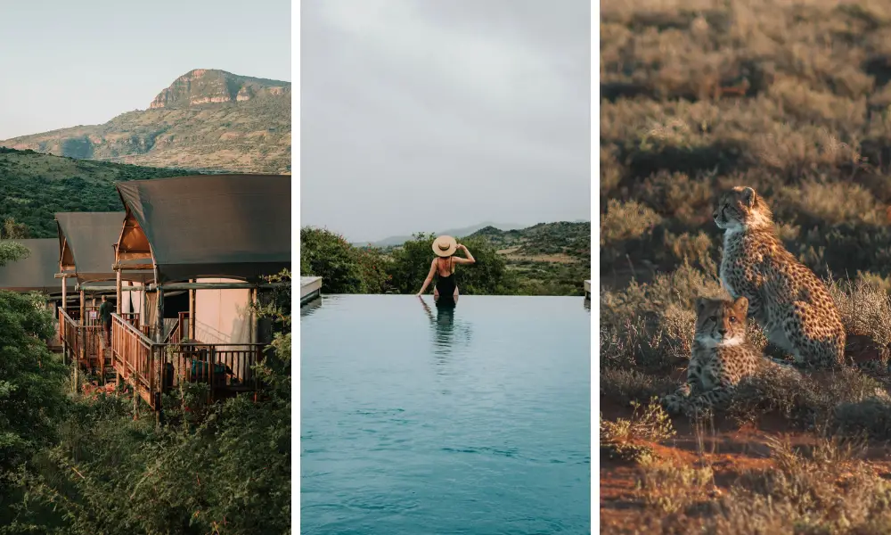 safari destinations in south africa